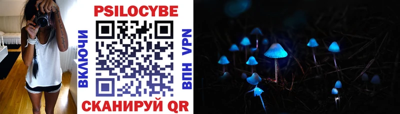 Купить закладки  Ступино  Галлюциногенные грибы Magic Shrooms 